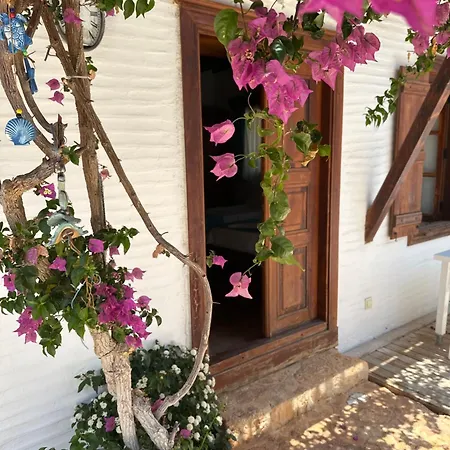 Hotel Courtyard