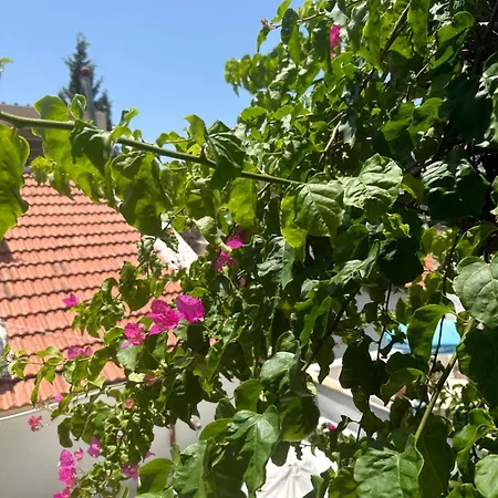Courtyard Kalkan