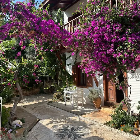 Hotel Courtyard Kalkan
