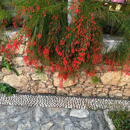 Courtyard Kalkan