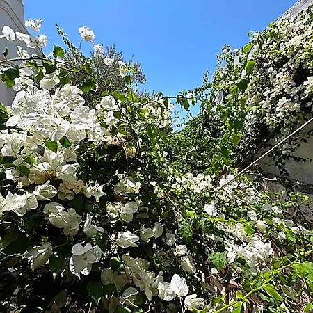 Courtyard *
