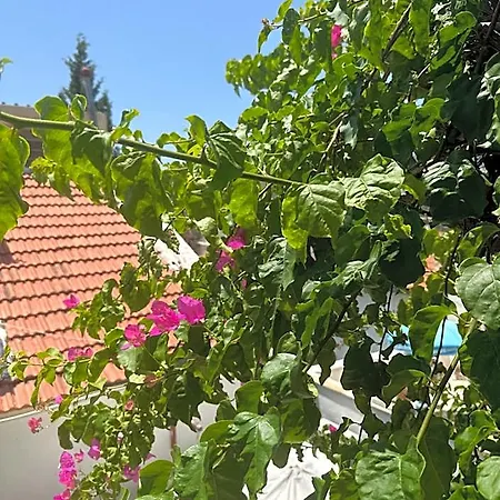 Hotel Courtyard