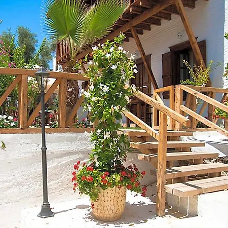 Courtyard *