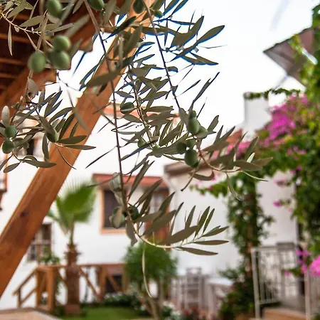 Hotel Courtyard Kalkan
