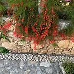 Courtyard Καλκάν